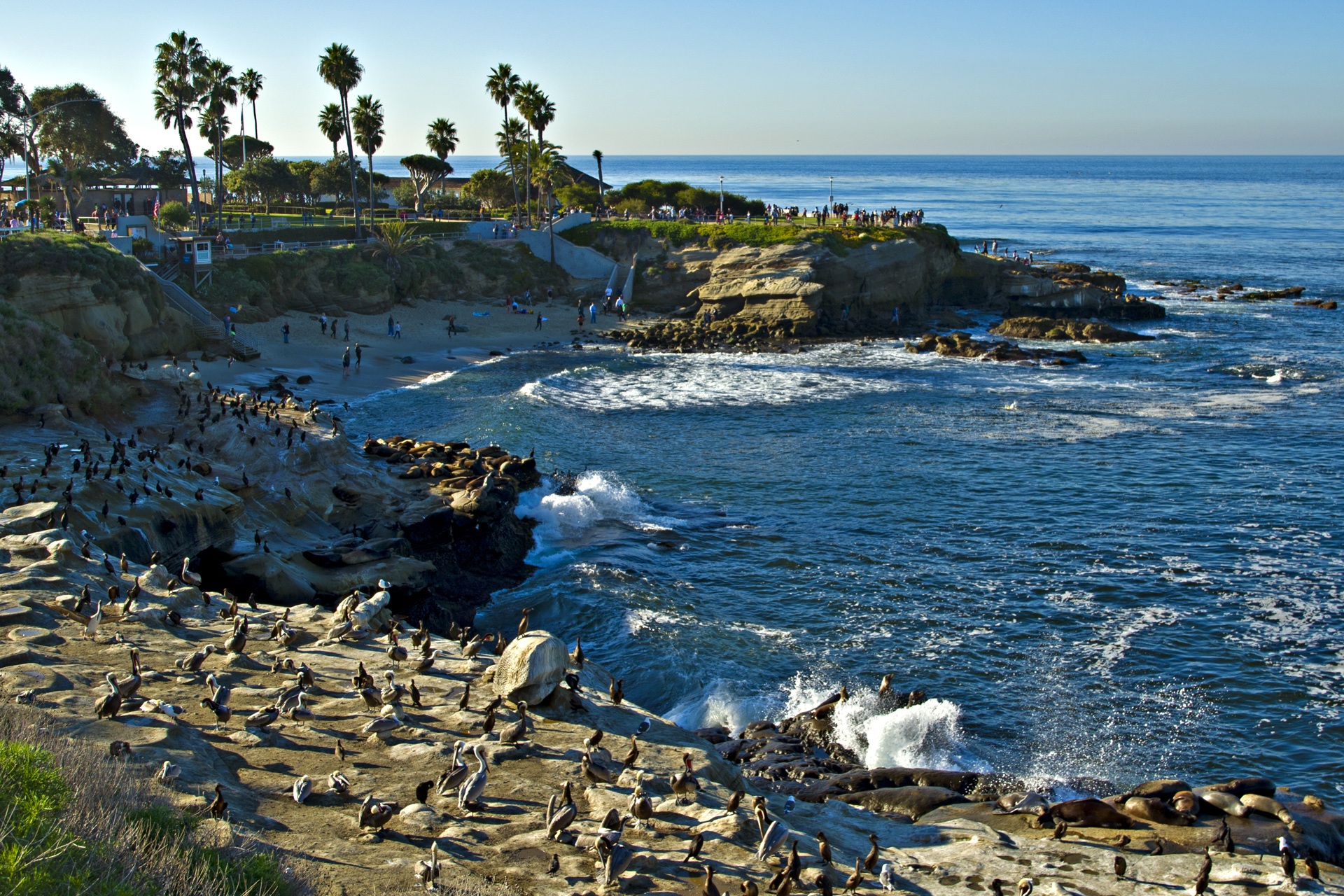 La Jolla Cove and the Pacific Ocean from the coastal bluffs