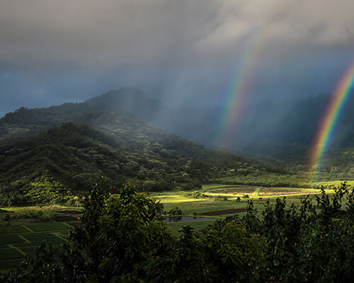 Kaua&lsquo;i Real Estate