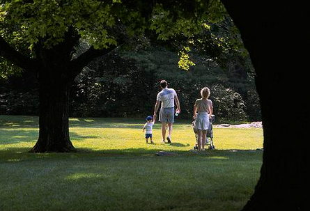 Enjoy Golden Parks and Trails