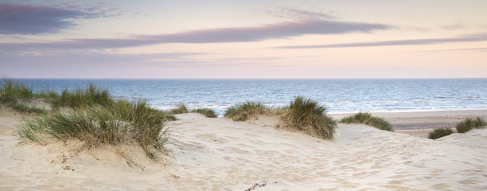 Pine Island Corolla, NC