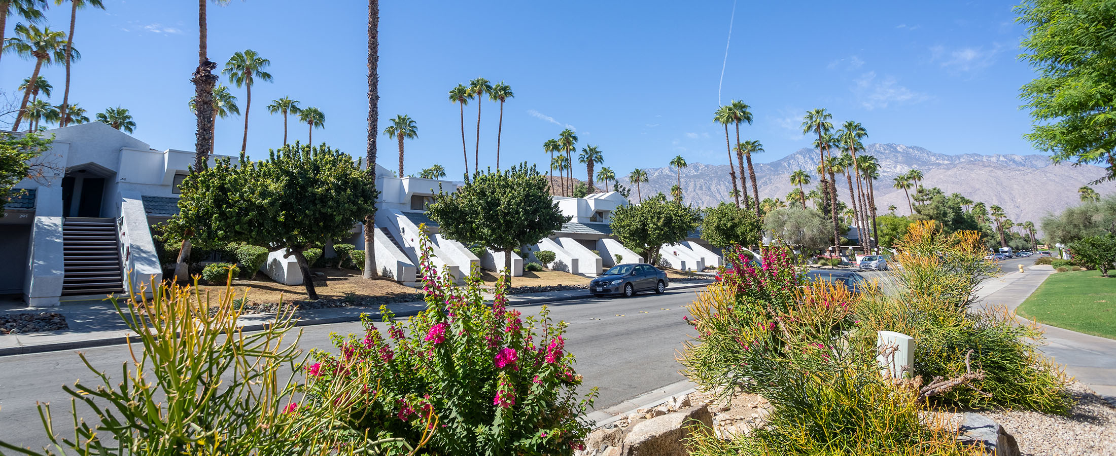 PALM CANYON VILLAS Palm Springs 224 CONDOS for Sale Palm Canyon