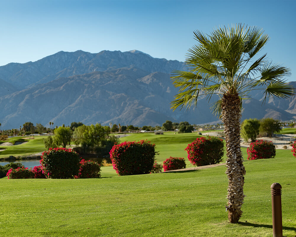 Mission Hills CC Golf Real Estate