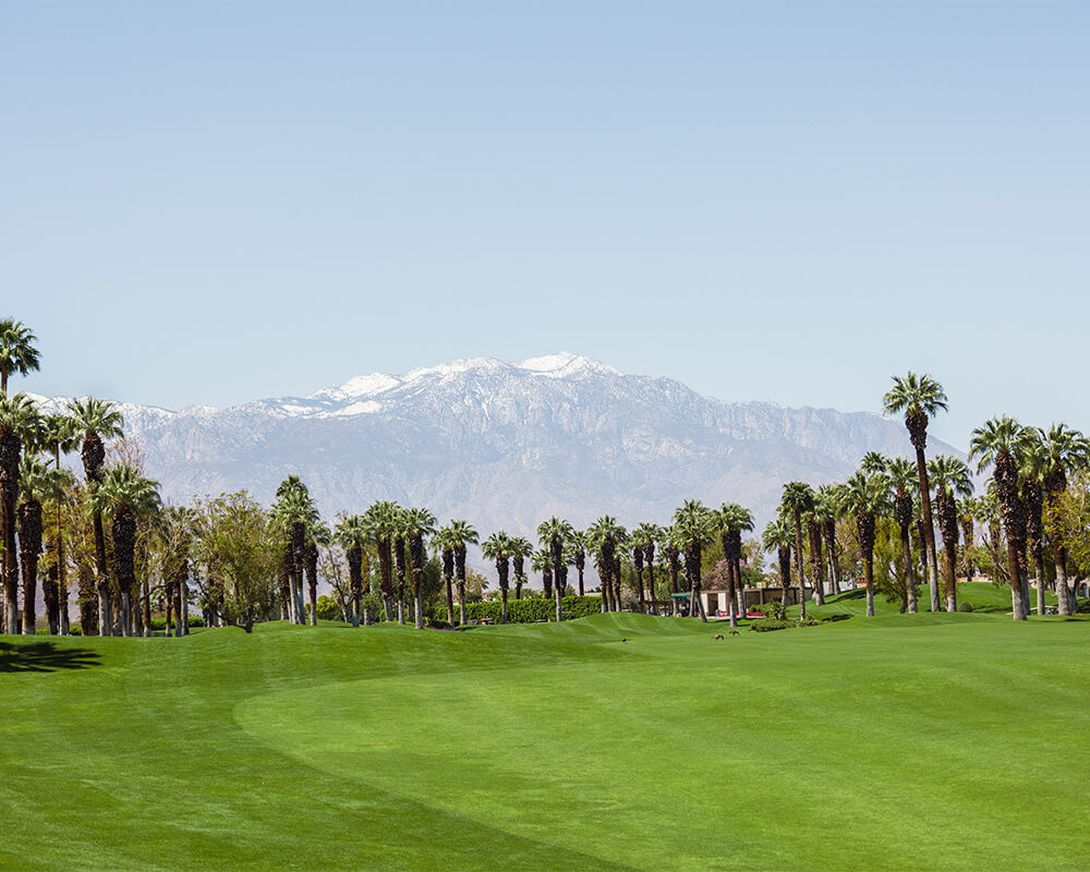 The Springs CC Golf Real Estate