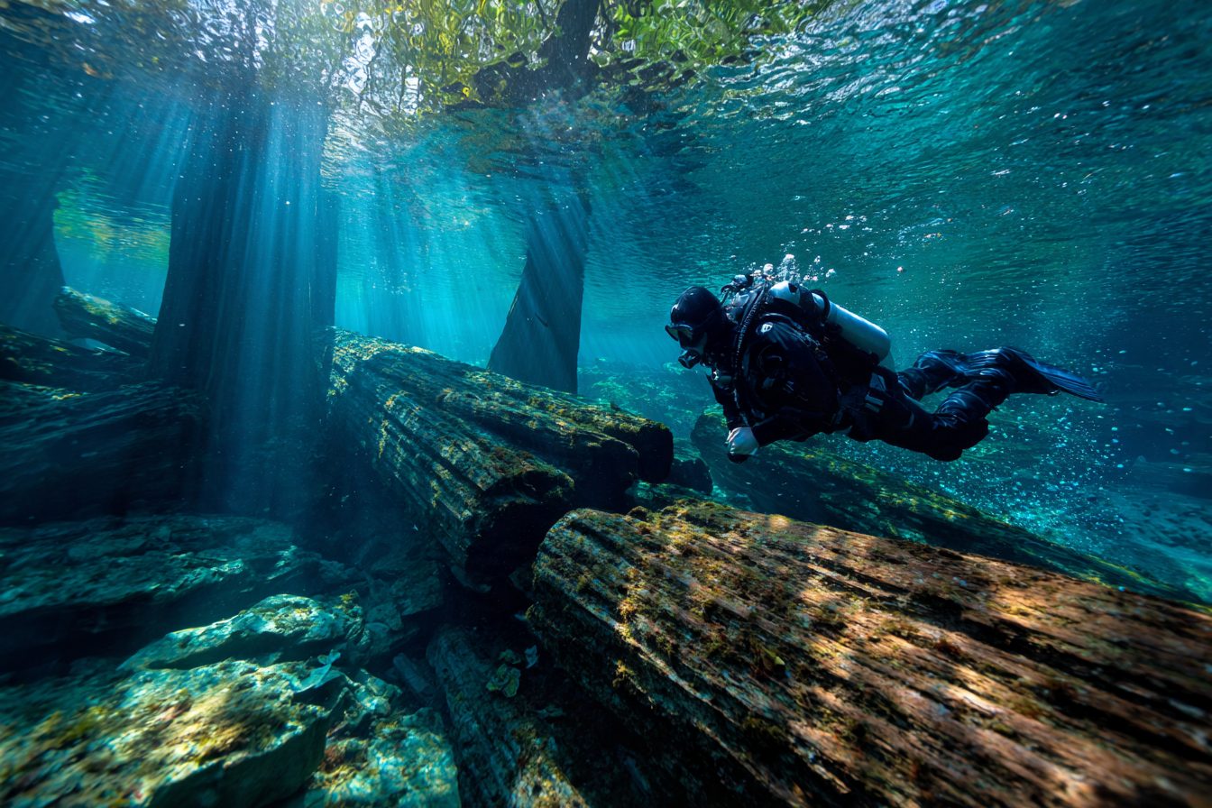 Scuba diver swimming over submerged logs in clear lake water
