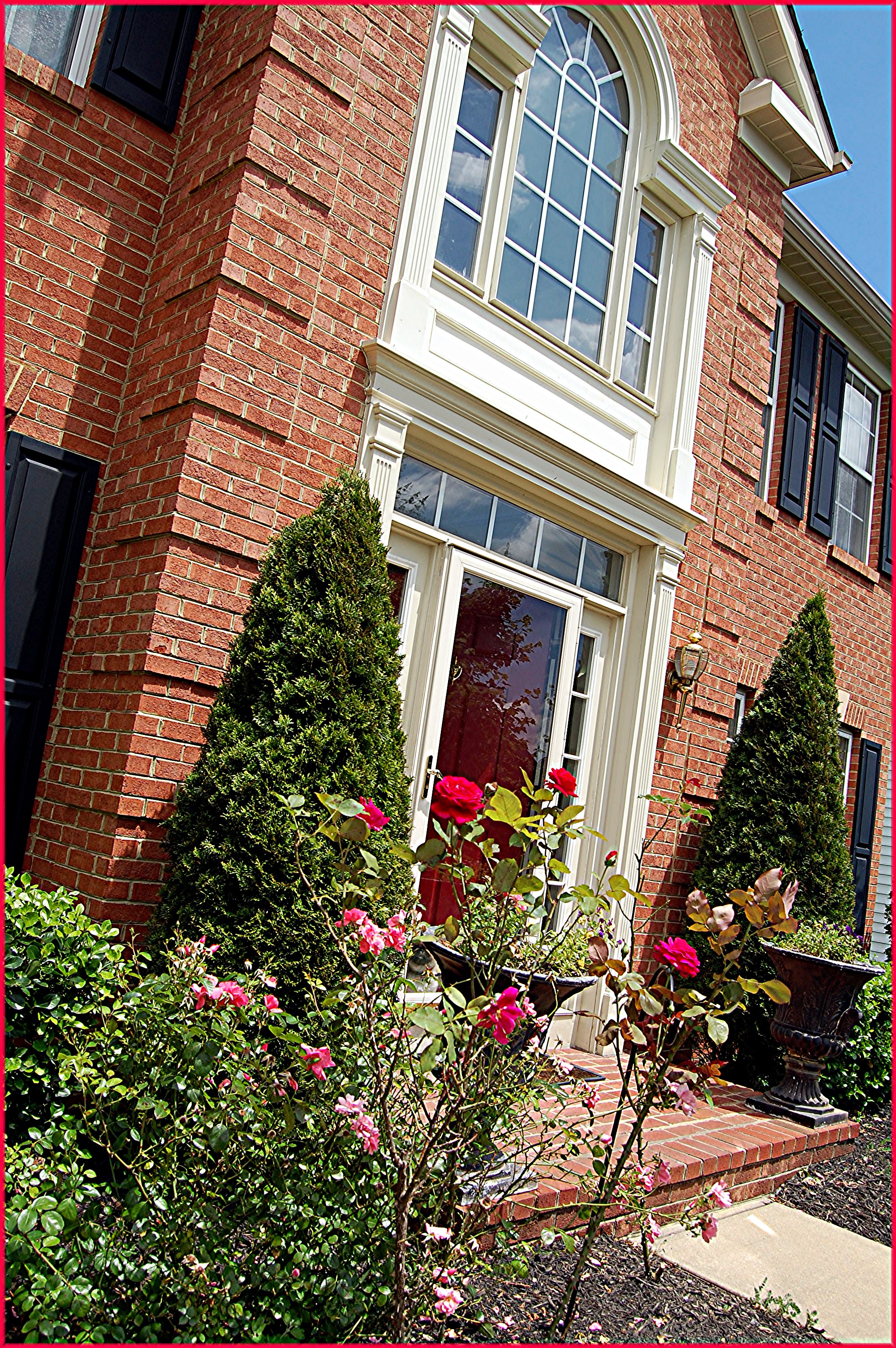 New Market Real Estate