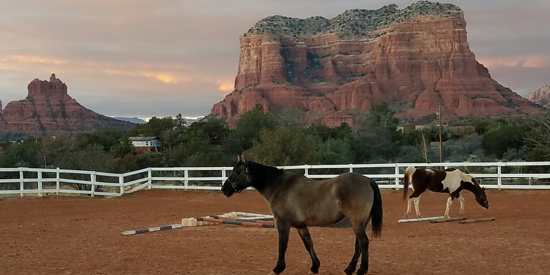 Contact Us The Deierling Team Troy and Susan Deierling Sedona Realtors