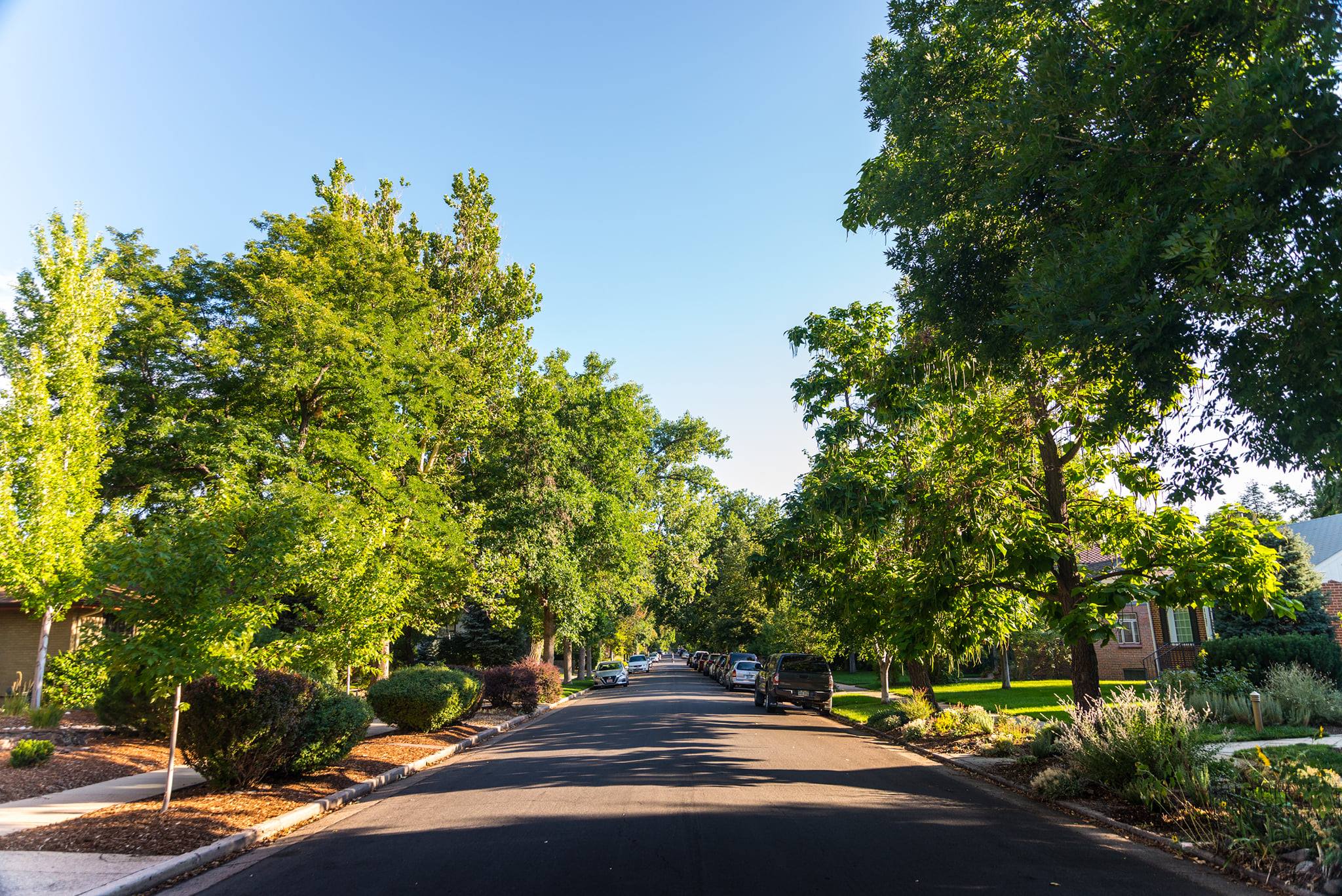 CoryMerrill Neighborhood Denver Homes For Sale