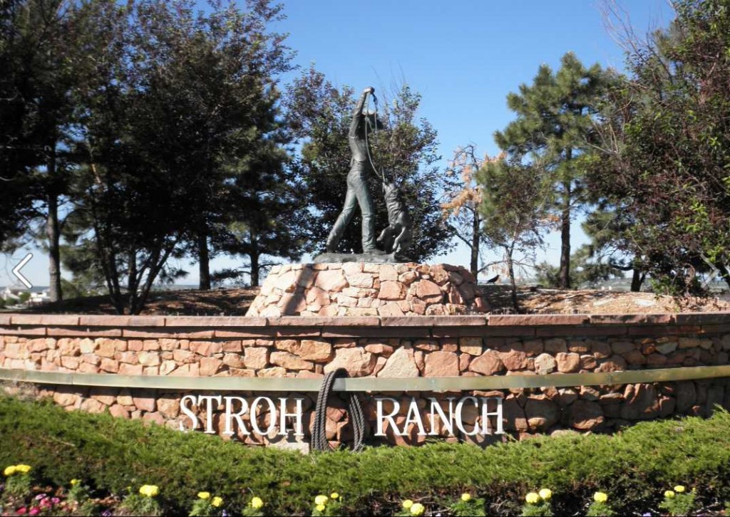 Stroh Ranch Neighborhood Parker Homes For Sale