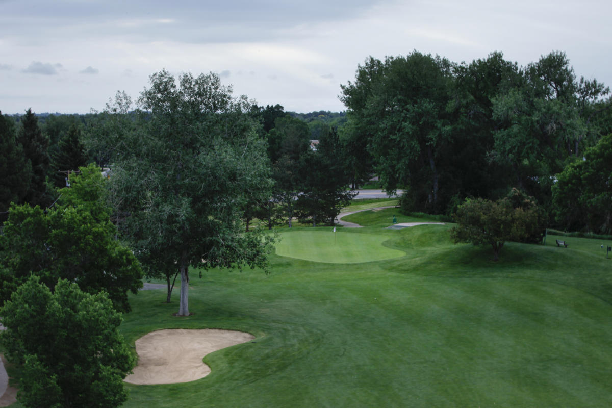 Wellshire Neighborhood Denver Homes For Sale