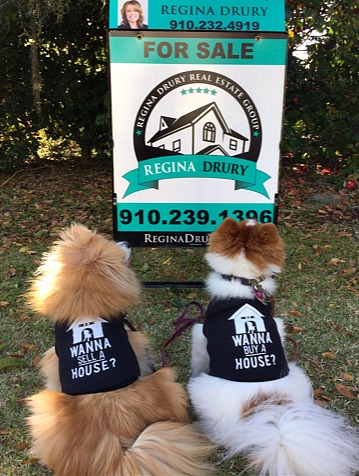 Regina Drury pets