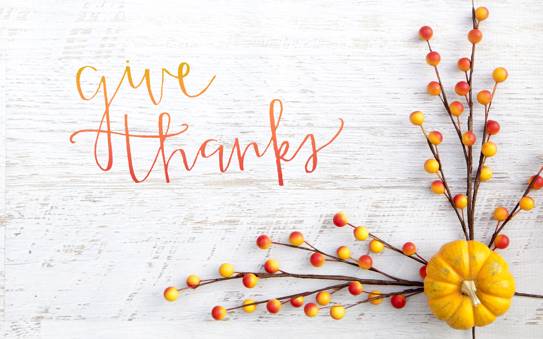 Happy Thanksgiving