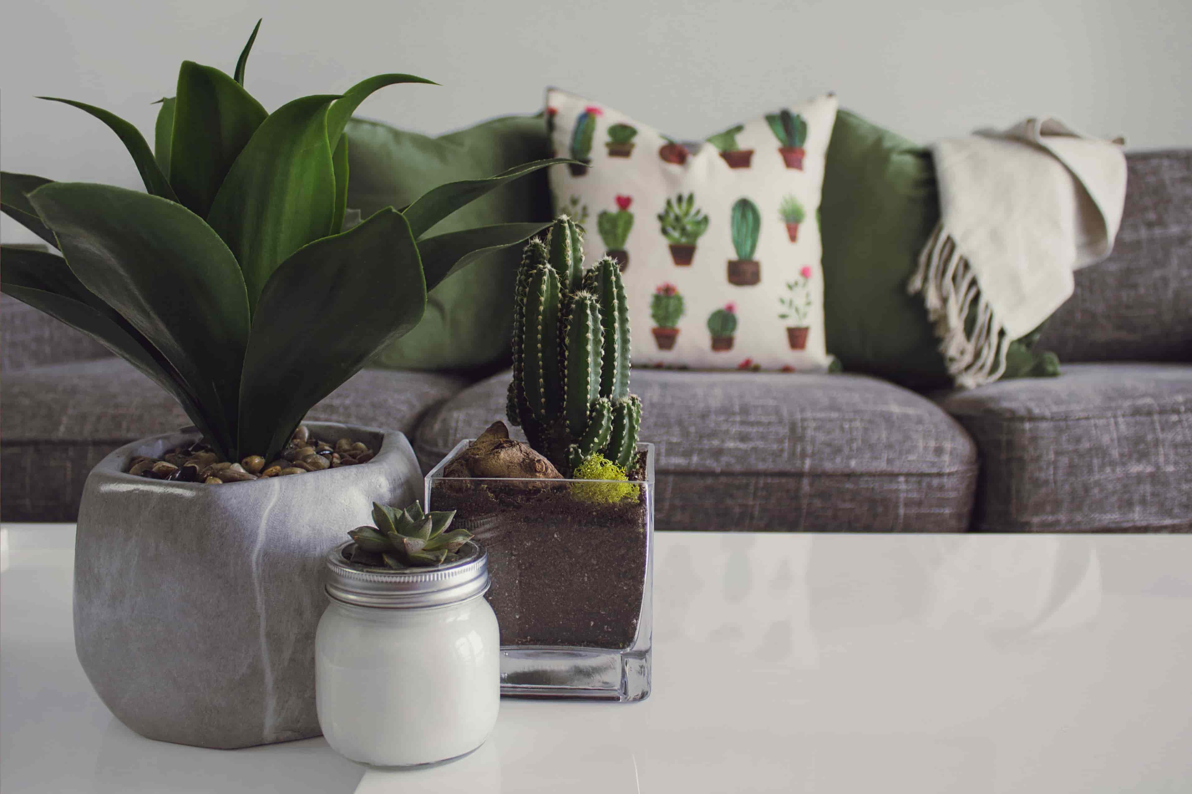 Botanical living room