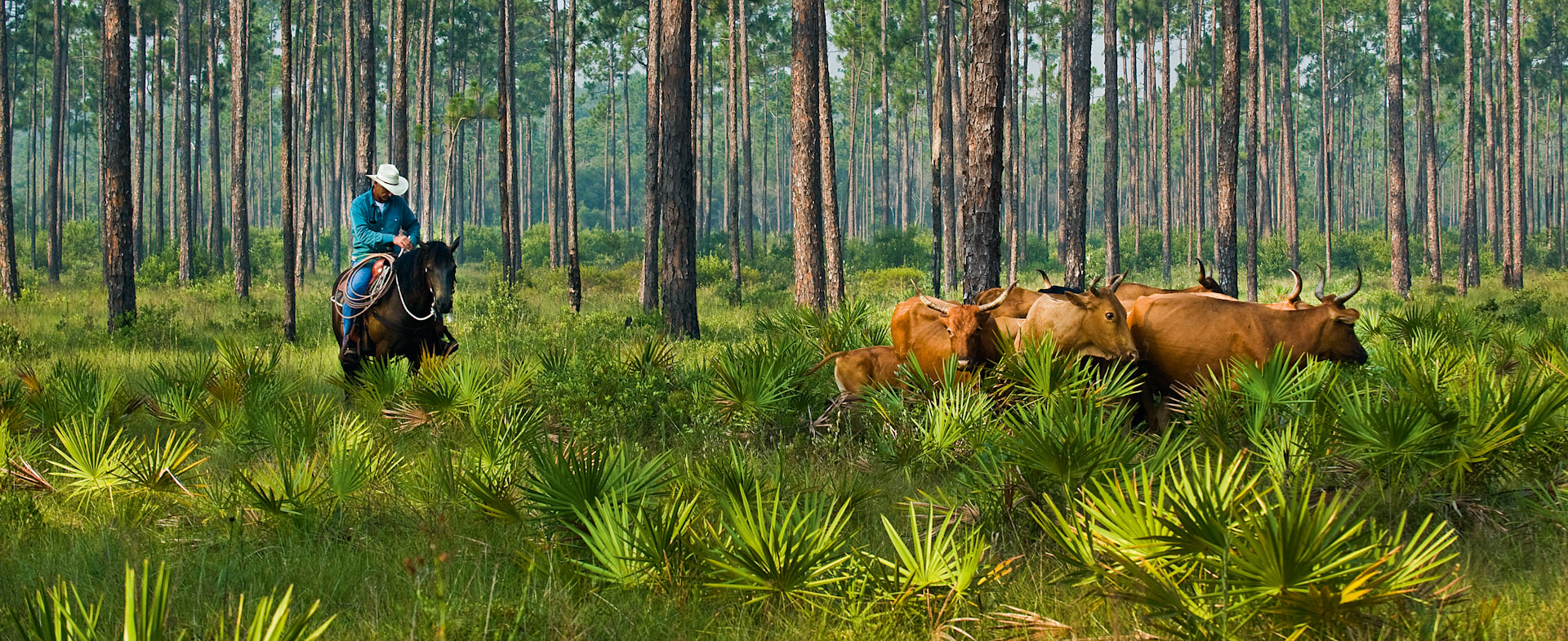 Central Florida Land Real Estate Search all Central Florida for Sale