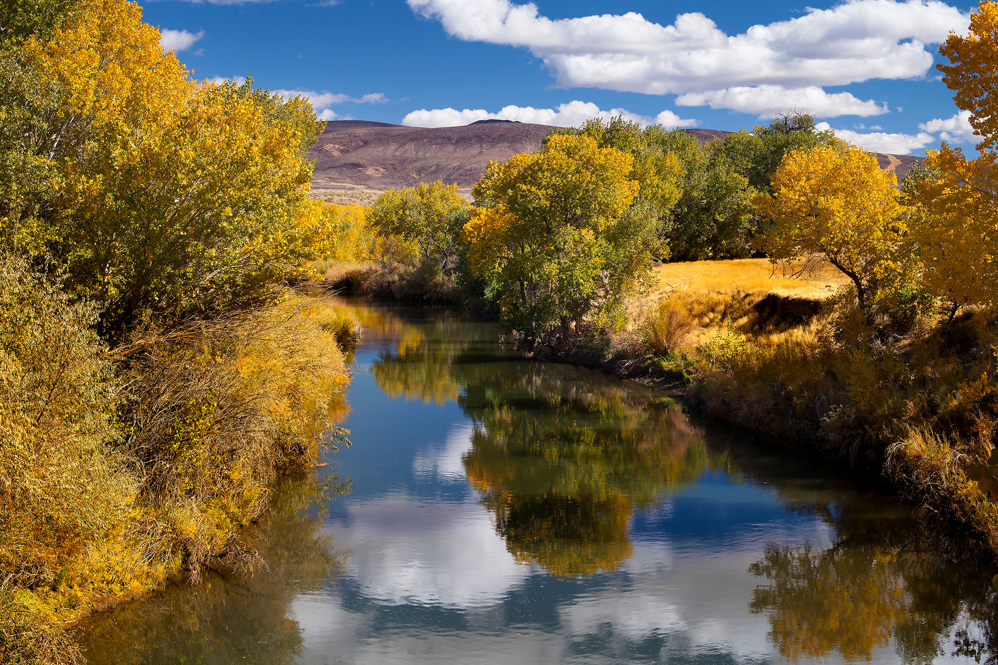 Verdi, NV Homes & Real Estate for Sale Reno Is Home