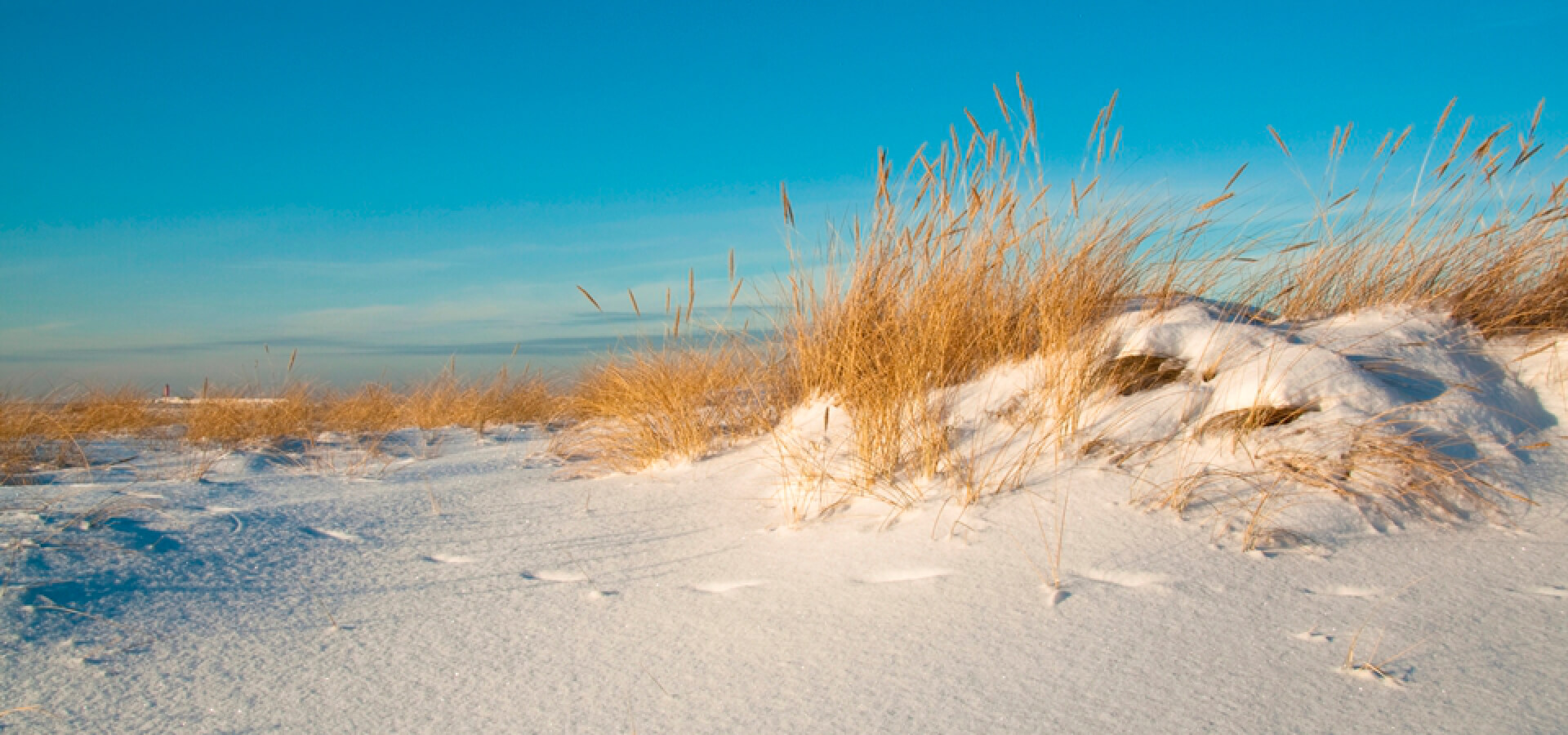 Northwest Florida coastal dunes near Gulf Breeze