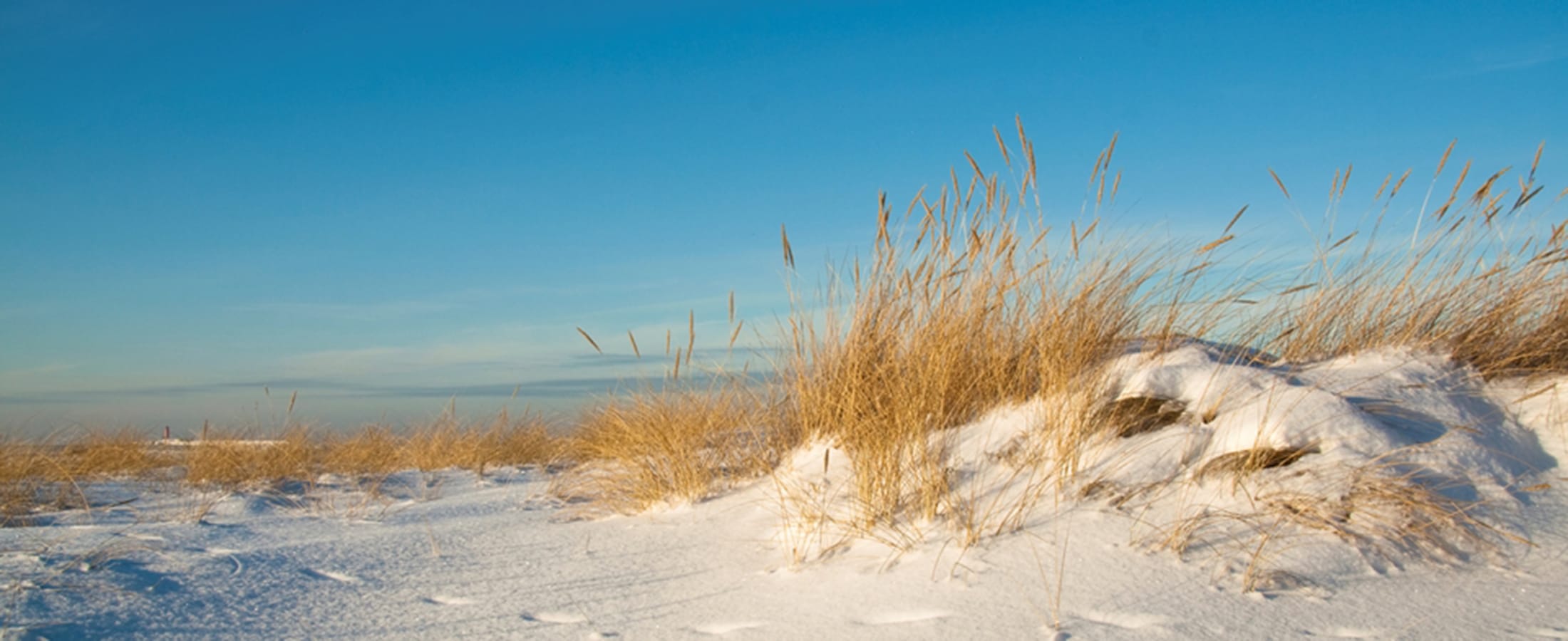 Perdido Key coastal landscape