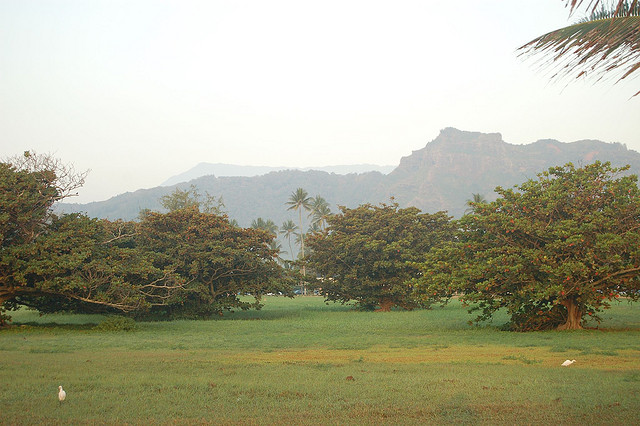 Real Estate Terms 101 What Is A Cpr Property