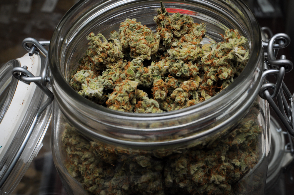 Medical Marijuana