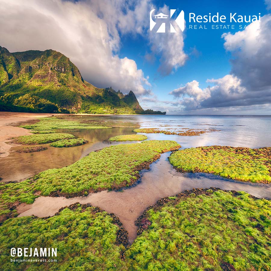 Tunnels Beach Tidal Pools