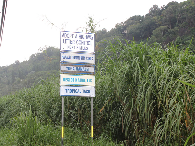 reside kauai adopt a highway