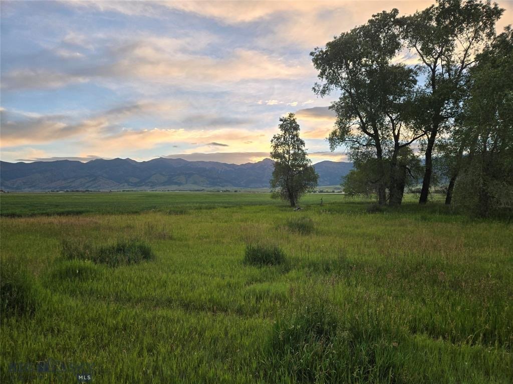 Cottonwood trees and meadow with mountain views at sunset