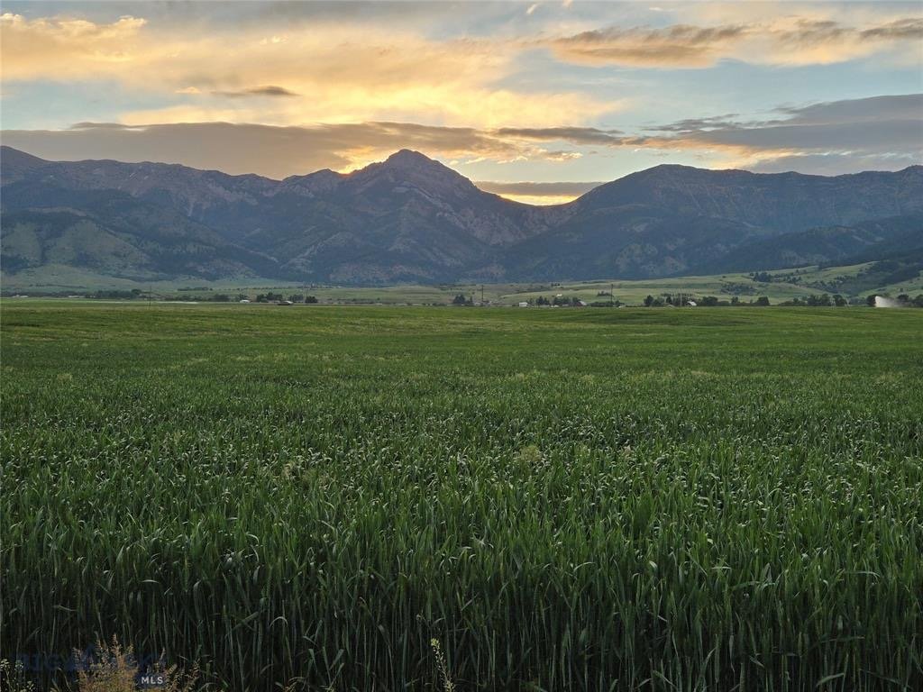 Sunset over the Bridger Mountains from the green fields of the property