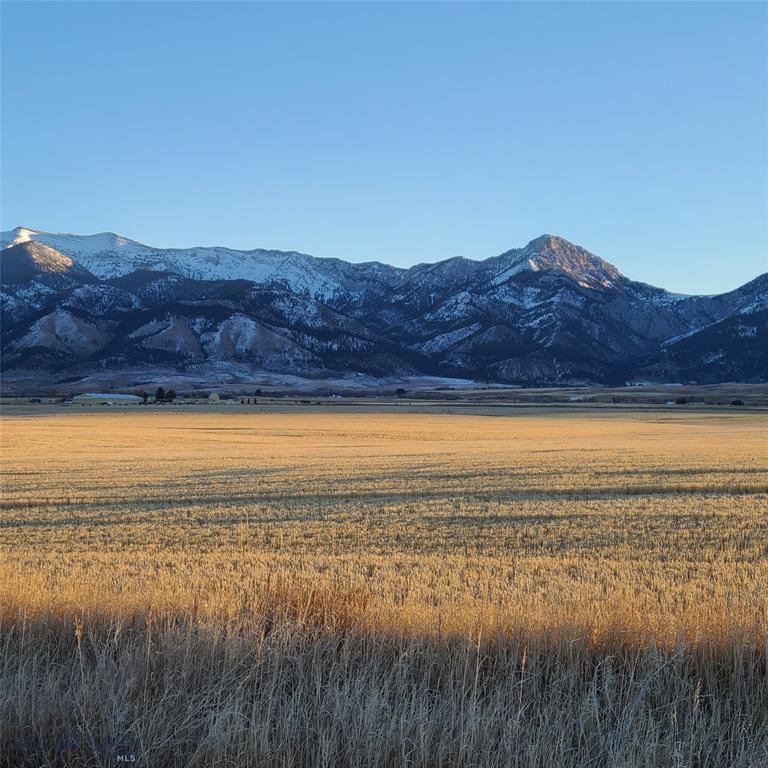 Golden winter field below snow-covered Ross Peak