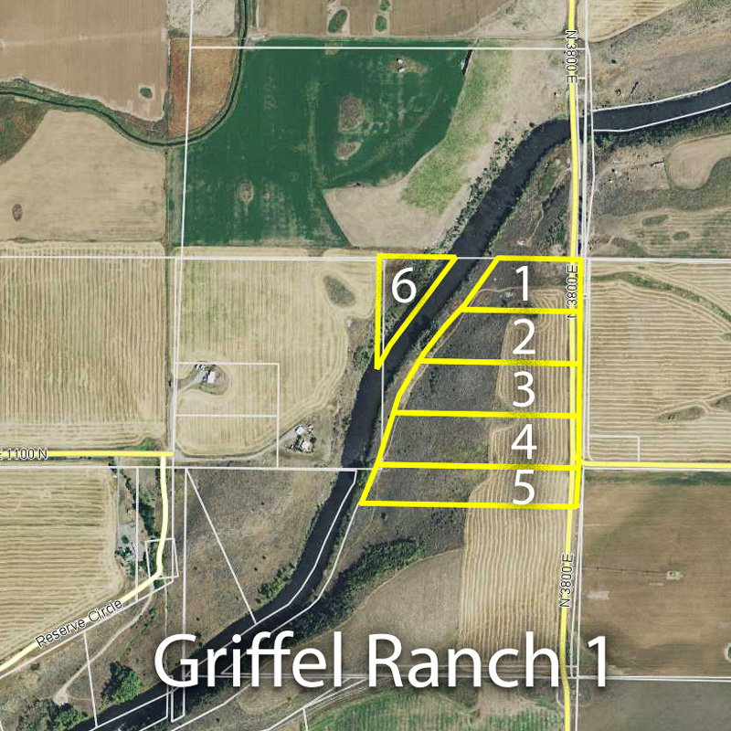 Riverfront lots near Ashton Idaho