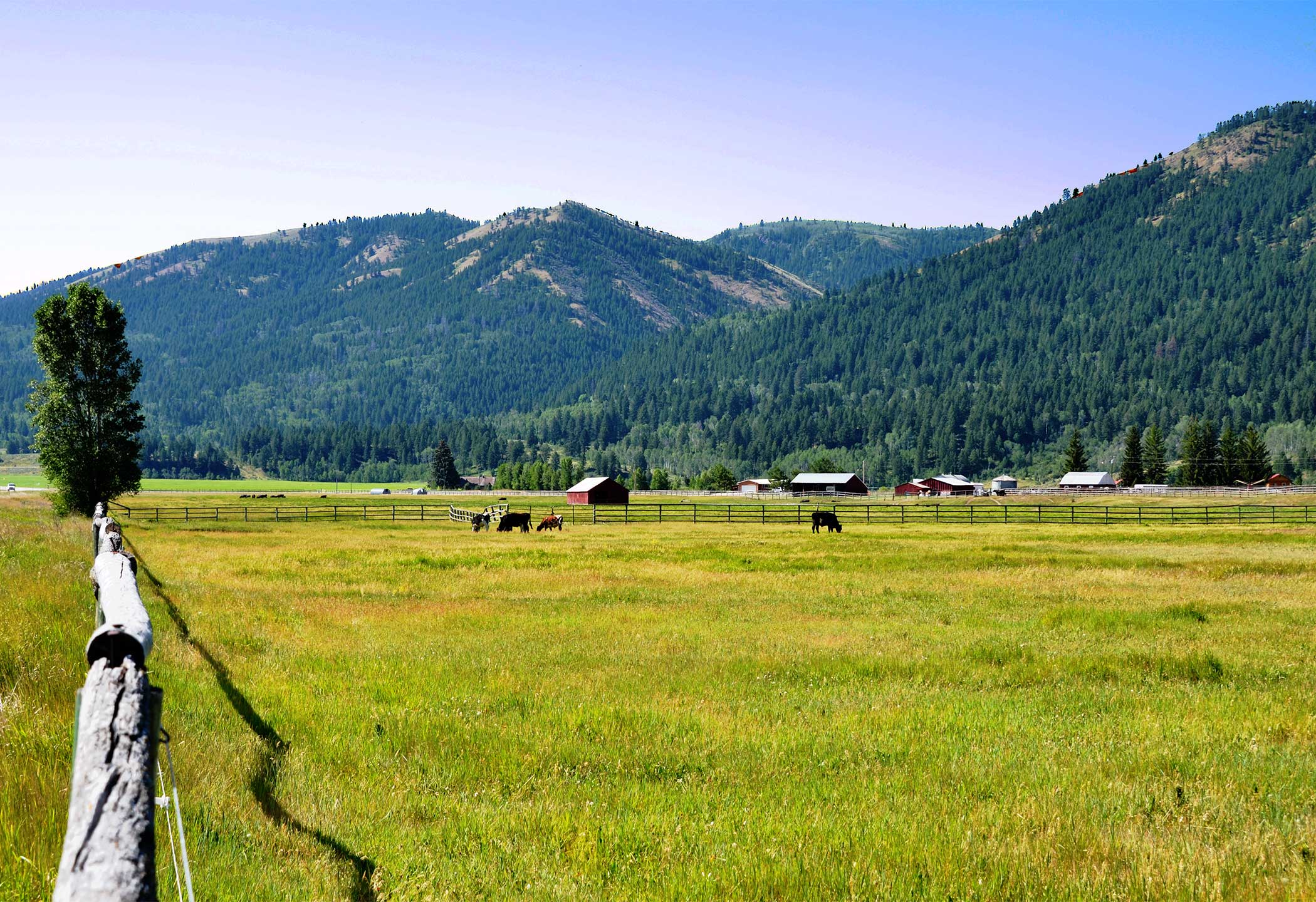 Land For Sale In Rexburg Idaho