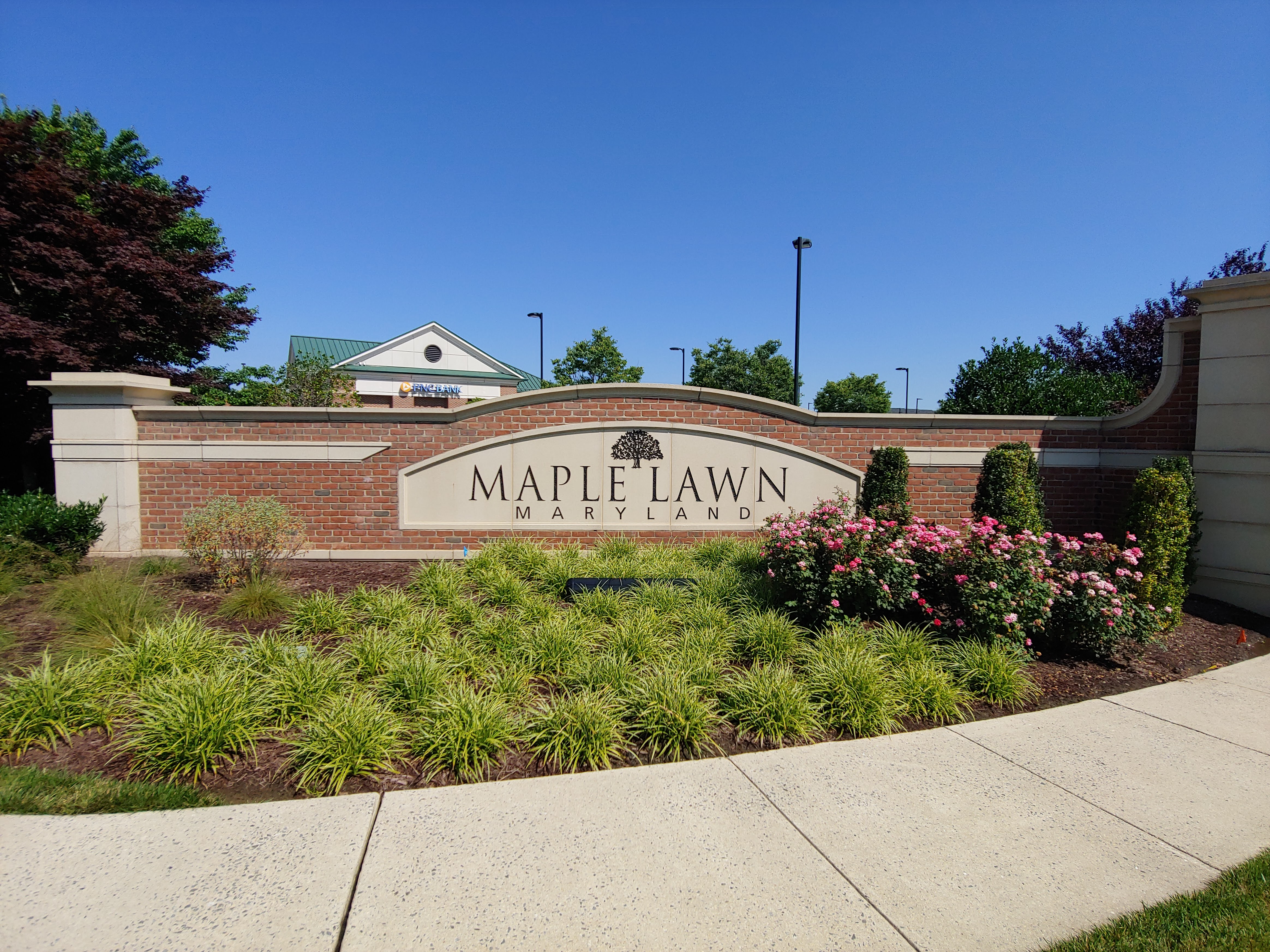Maple Lawn