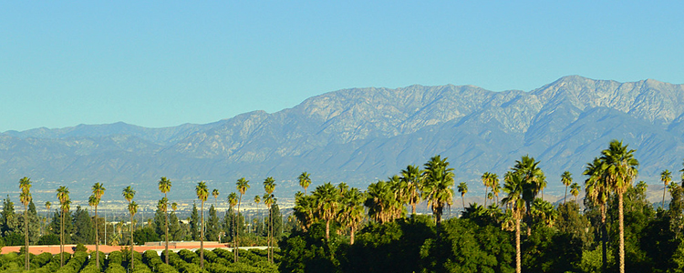 Citrus State Historic Park