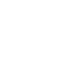 Map Icon