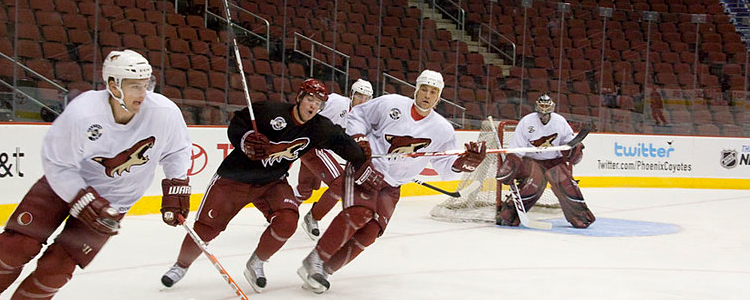 Phoenix Coyotes
