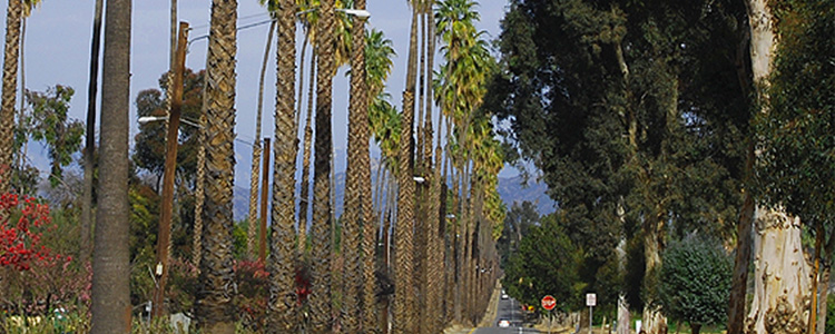 VIctoria Avenue Riverside, CA