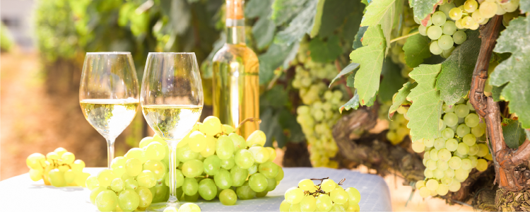 winery
