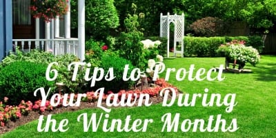 6 Tips to Protect Your Central Texas Lawn