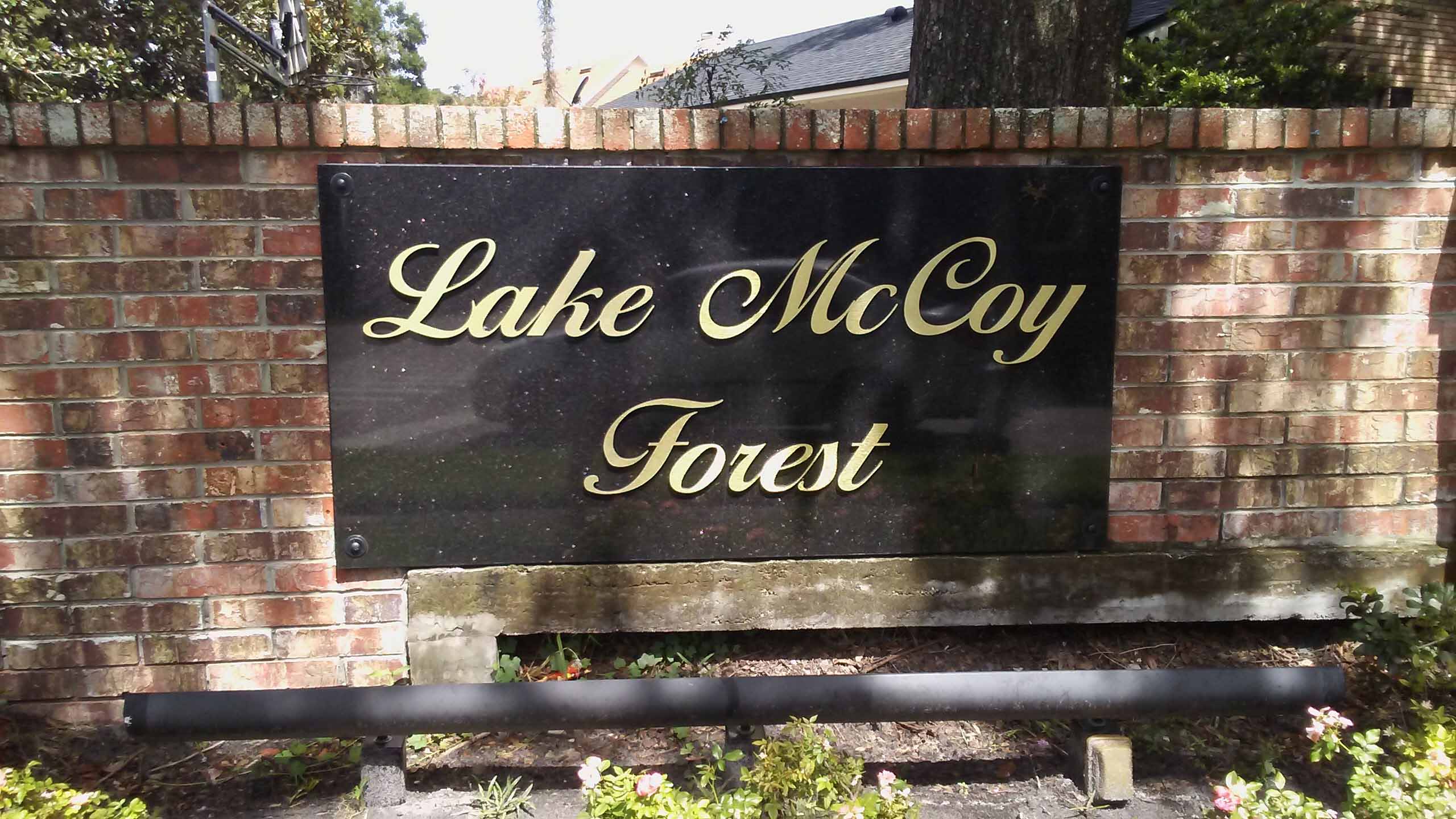 Lake McCoy Forest, Apopka, FL  32712