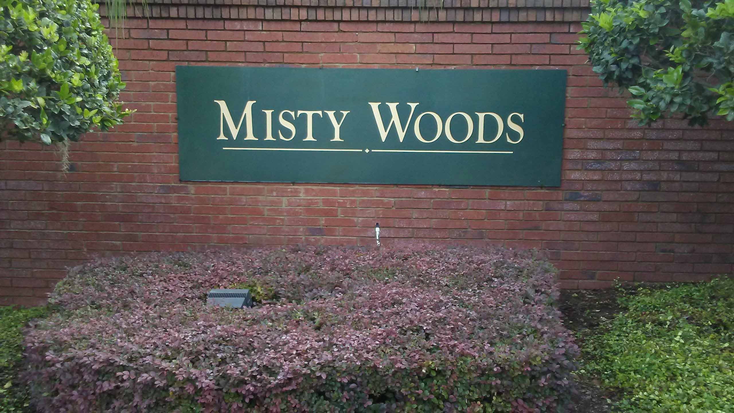 Misty Woods Homes for Sale in Misty Woods, Apopka, FL
