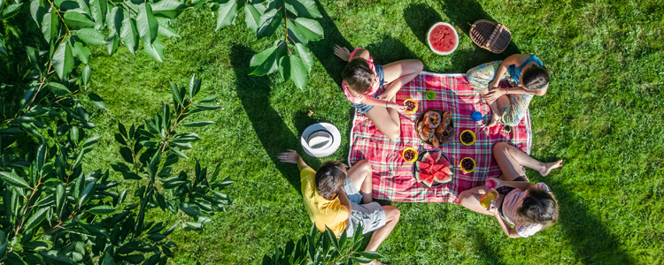 Enjoy A Picnic In The Beautiful Green Spaces In Twin Creek Crossing Park!
