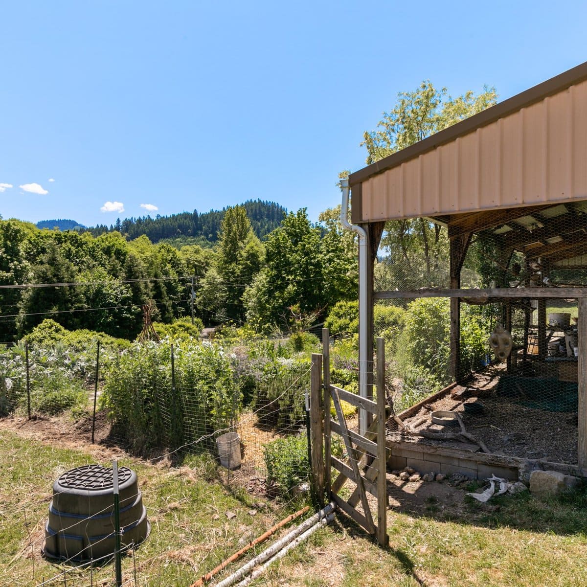 David Pauley Ranch Dragonfly Ranch