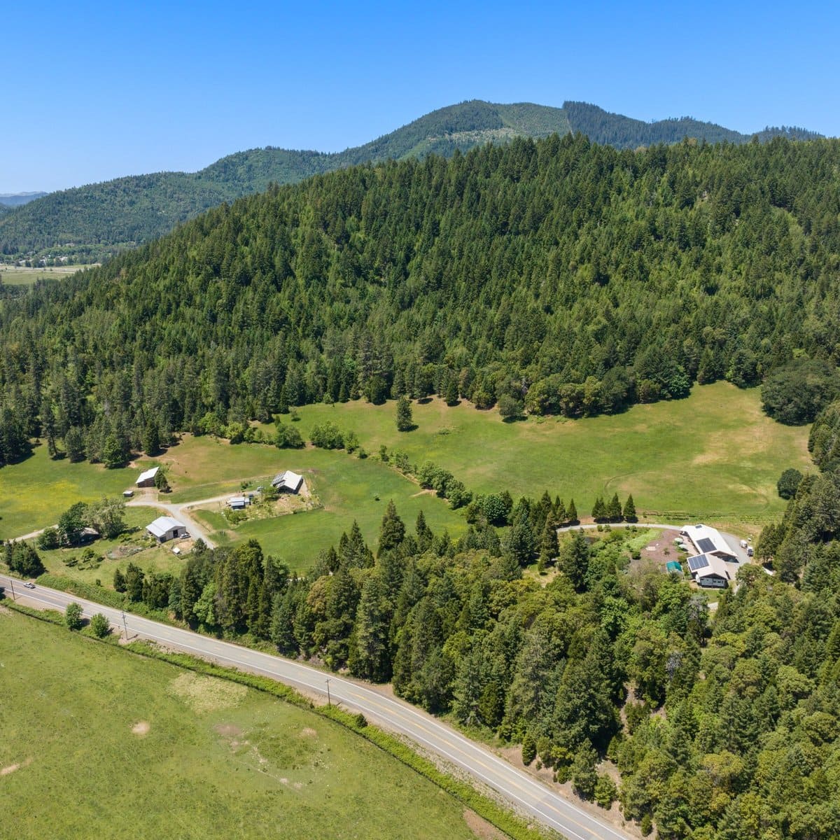 Dragonfly Ranch