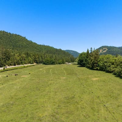 Irrigation pasture