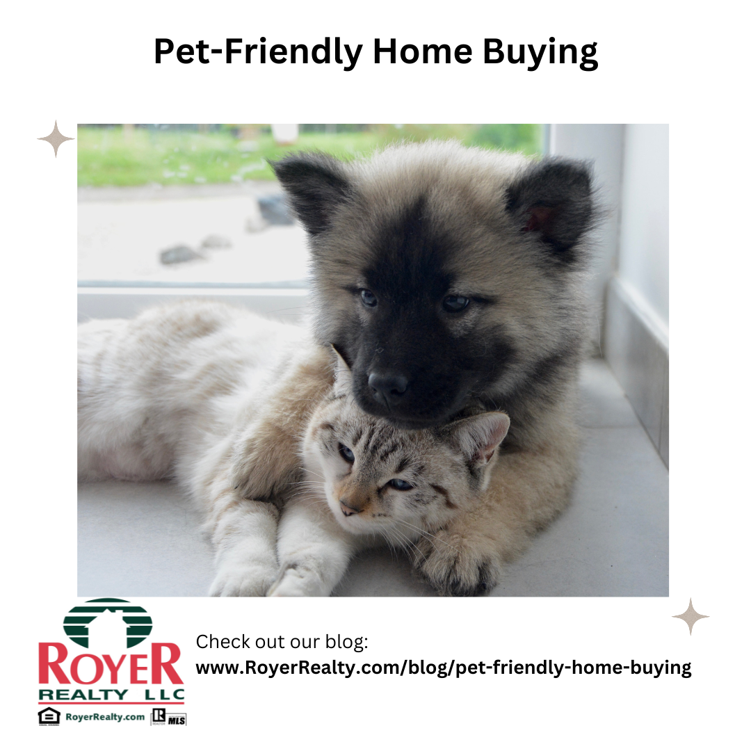 blog image header pet-friendly home buying