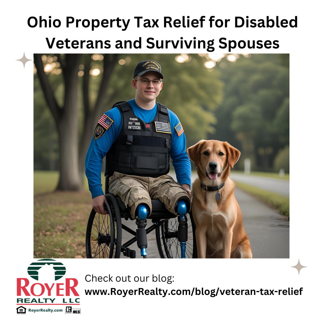 Disabled Ohio veteran and service dog - blog header image