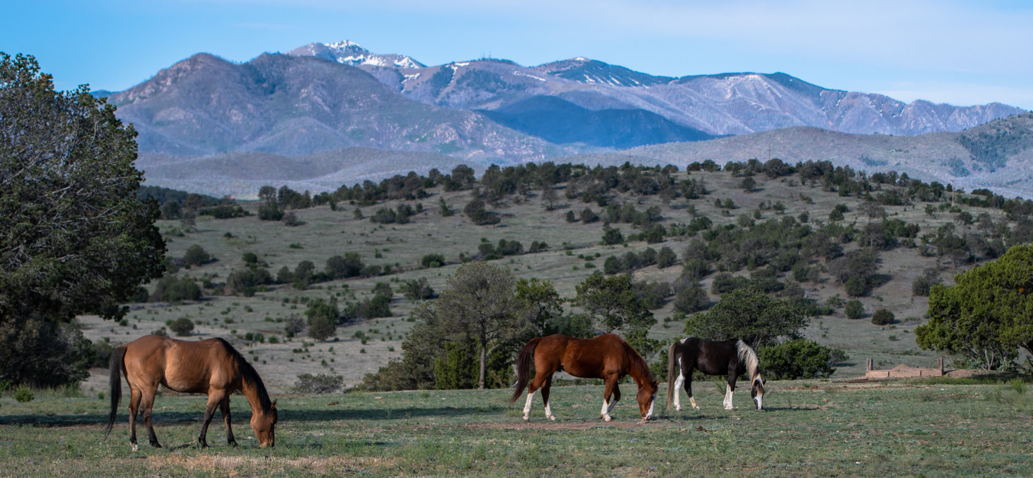 Lincoln County NM Horse Properties for Sale