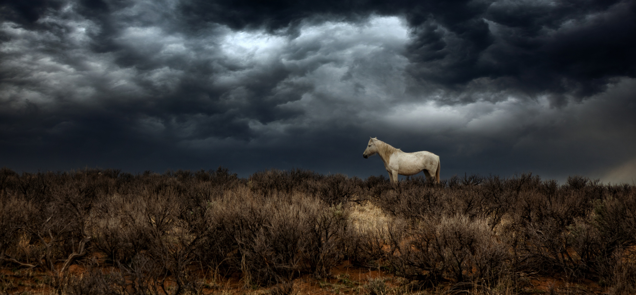 Lincoln County NM Real Estate & Homes for Sale