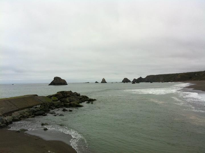 Jenner Where Russian River Meets Pacific