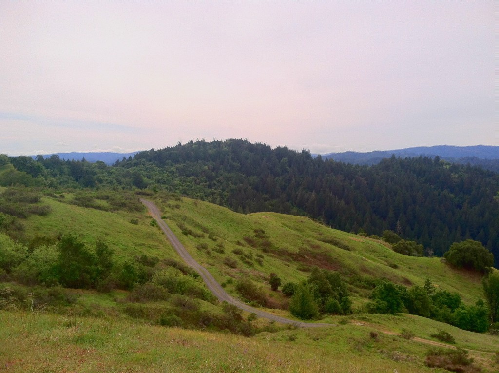 Bullfrog Pond Above Armstrong Woods