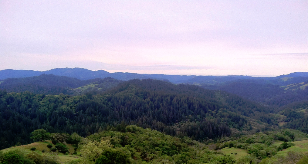 Guerneville