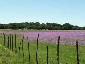 Texas Hill Country